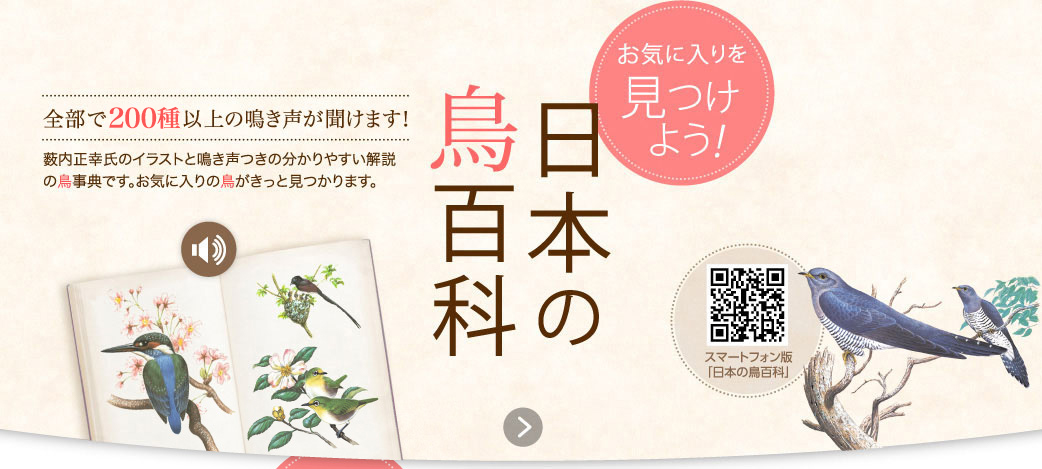 日本の鳥百科 薮内正幸氏のイラストと鳴き声つきの分かりやすい解説の鳥事典です。お気に入りの鳥がきっと見つかります。
