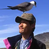 ライター監修 柴田佳秀