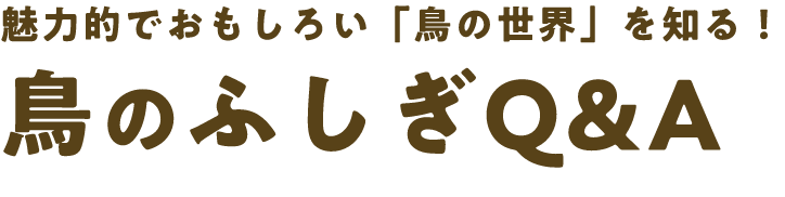 魅力的でおもしろい「鳥の世界」を知る！鳥のふしぎQ&A