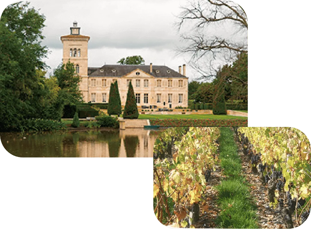 農法「リュット・レゾネ」の写真