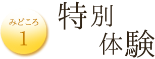 みどころ1　特別体験