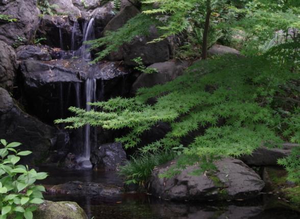 四季折々の姿を見せてくれる裏庭の池周辺