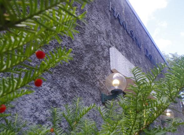 赤色の実がかわいらしいイチイの木