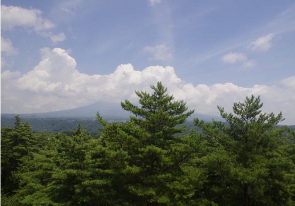 展望台からは八ヶ岳や南アルプスの山々を眺めることができます