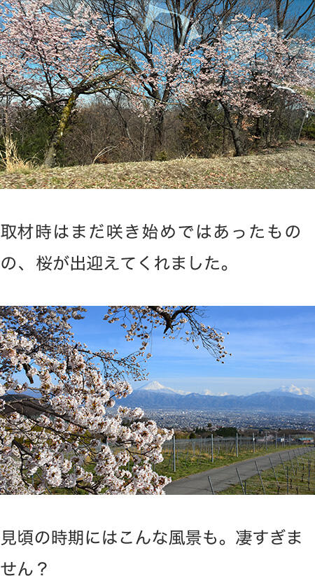 今回のファクトリップは・・・