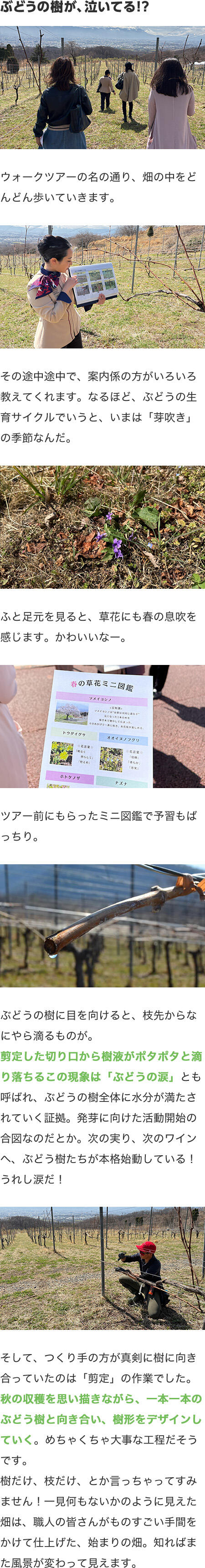 今回のファクトリップは・・・