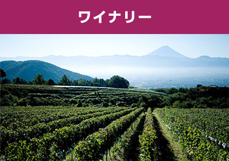サントリーの工場見学、実はこんなにあるんです。
