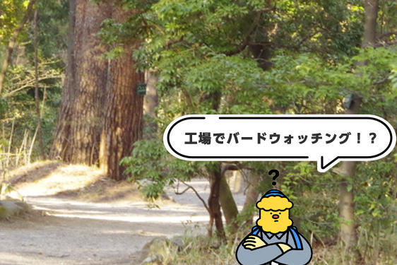 工場見学でバードウォッチング！？サントリー白州蒸溜所での楽しみ方