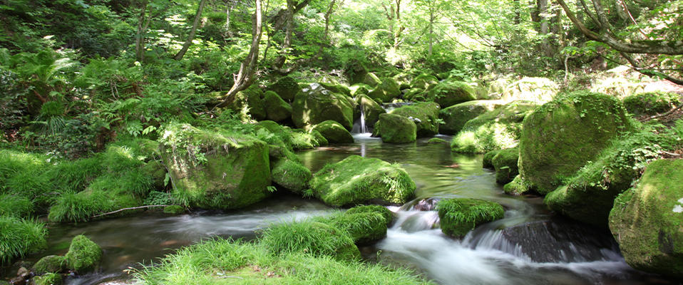 サントリーのものづくりの真髄にせまる!