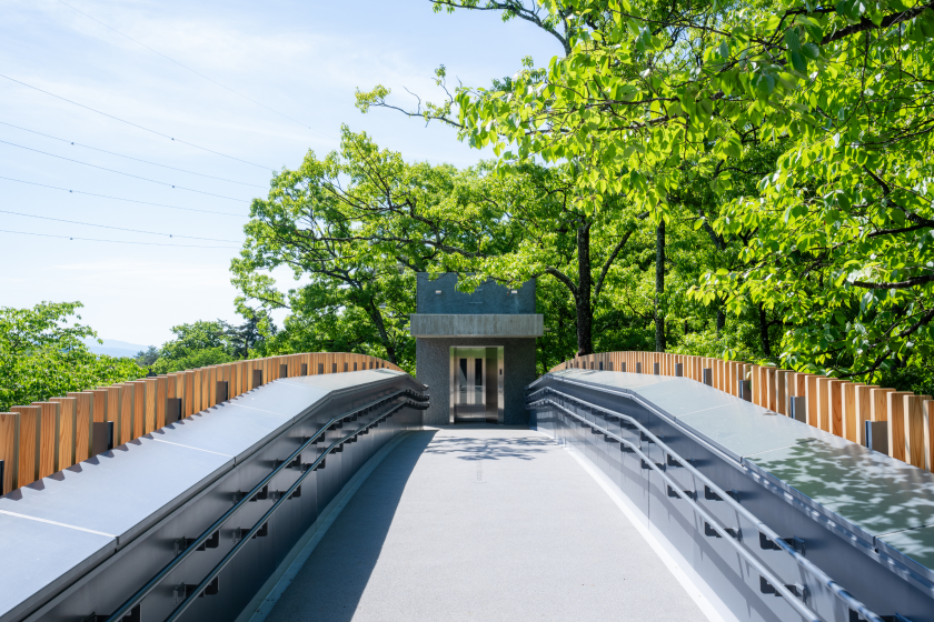 20251017hakushu_bird_bridge_003