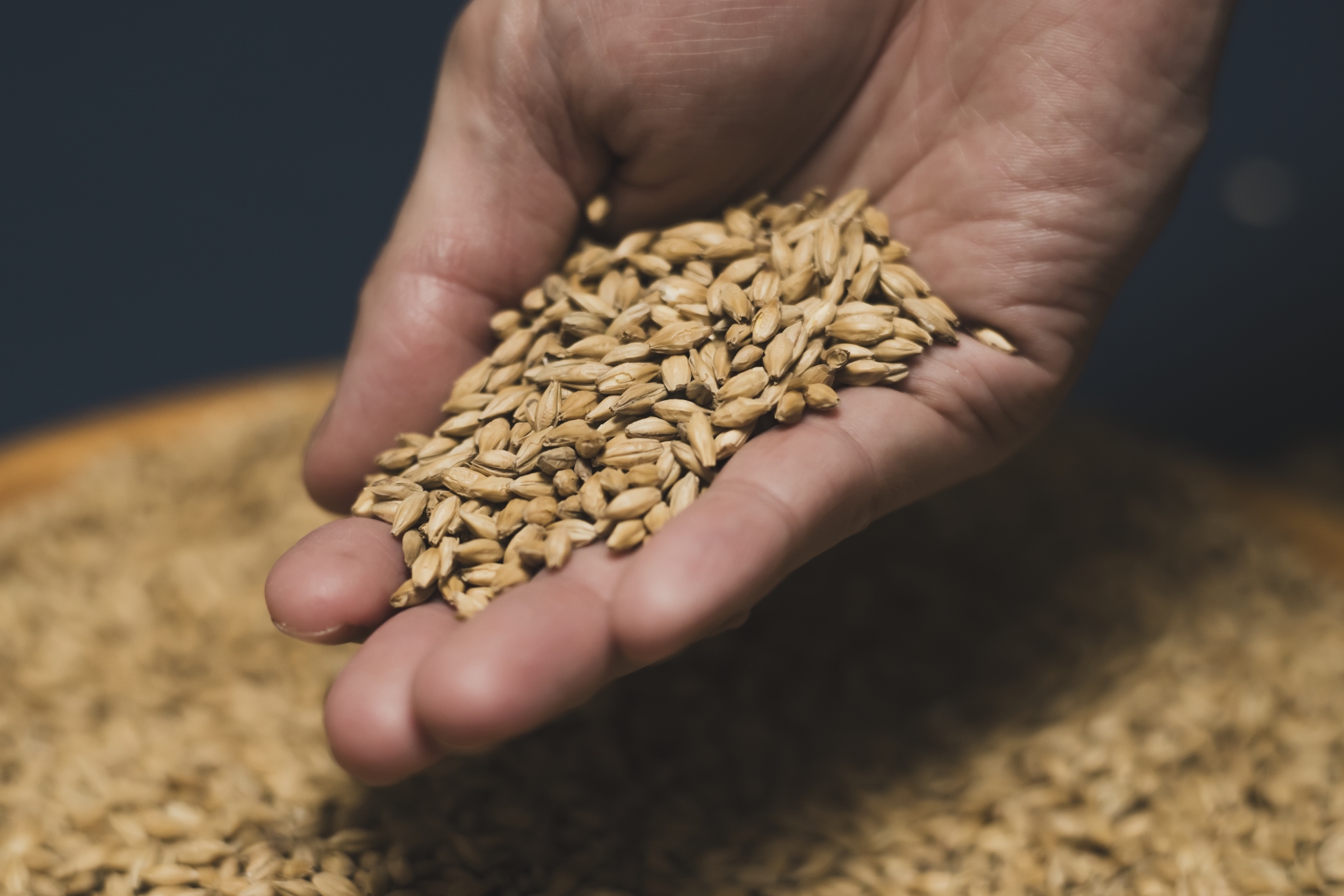 材料はいたってシンプル。だからこそ、厳選します。