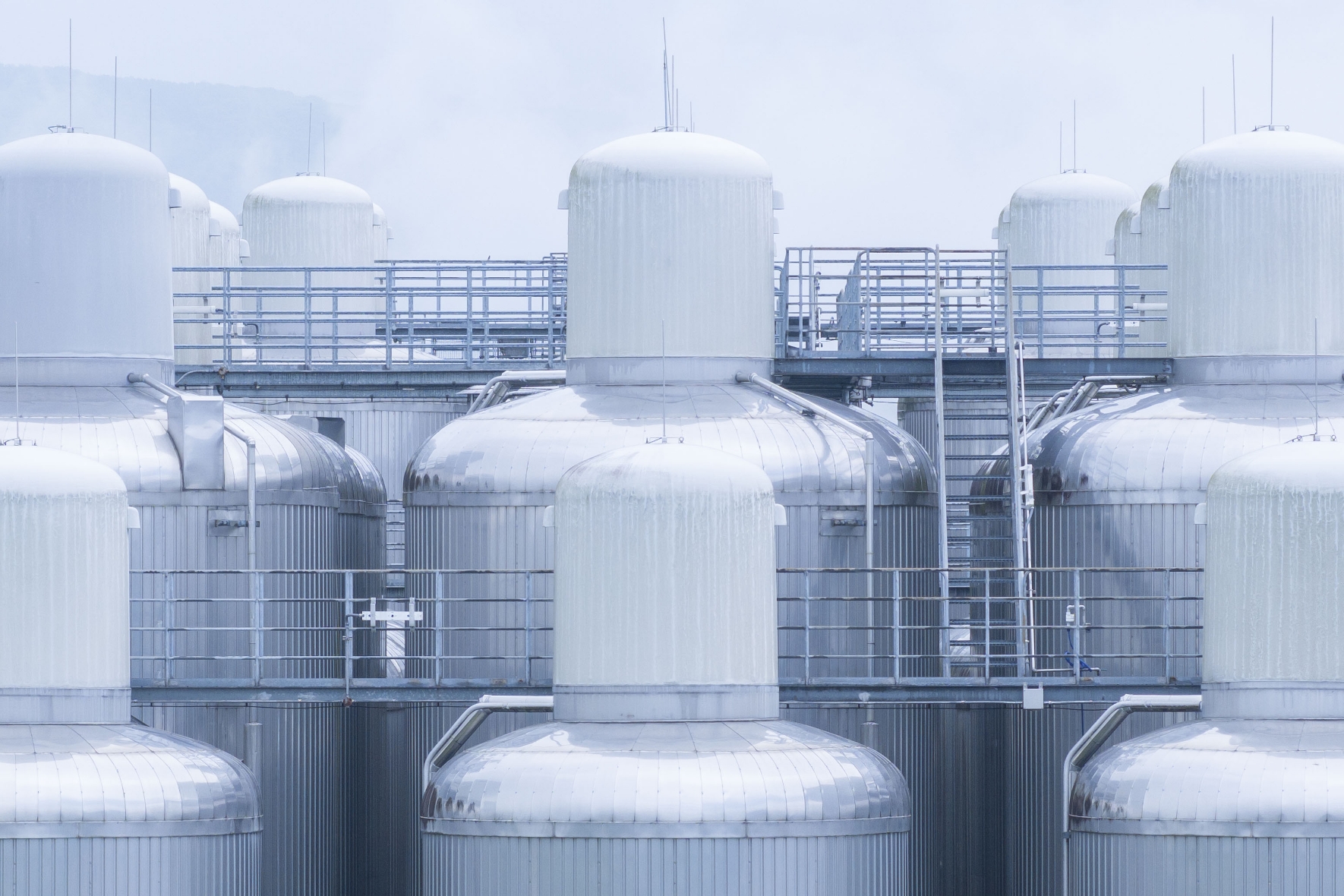 酵母の健康管理も、つくり手の大切な仕事です。