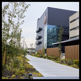 ボタニカルロード