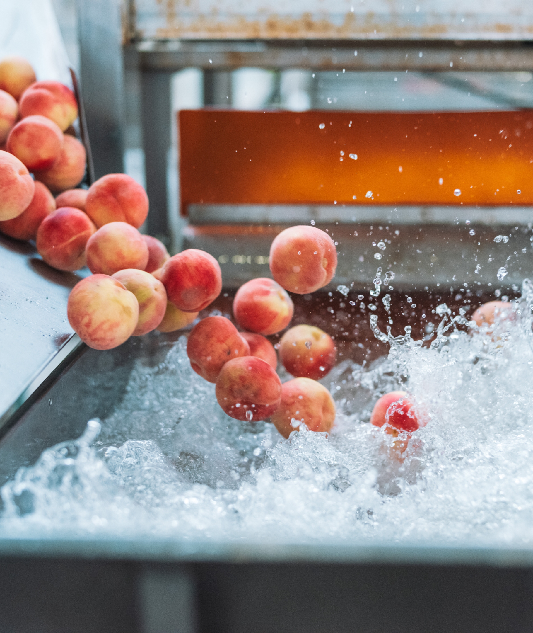 浸漬タンク(100 KL)