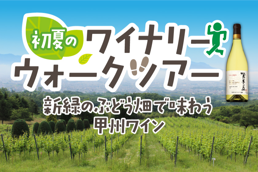 tominooka_rose_fes_002