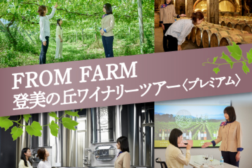 tominooka_rose_fes_002