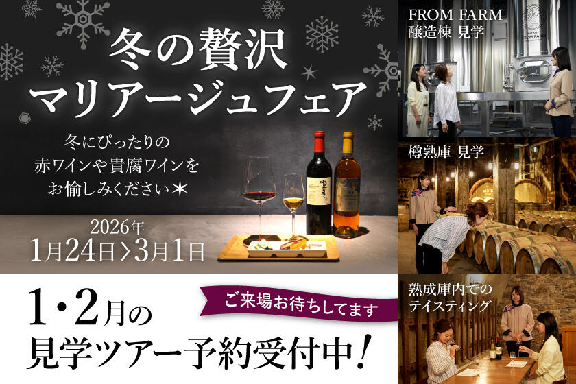 260117_tominooka_winter_fair