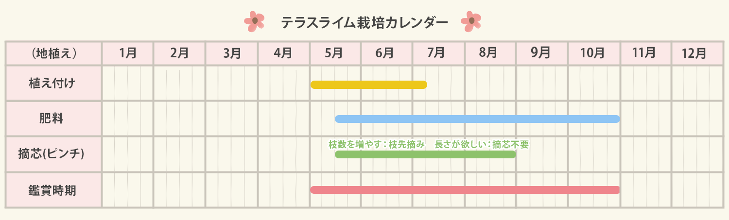 テラスライム栽培カレンダー