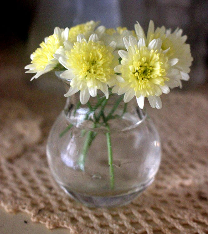 室内でも楽しめる！切り戻した花を飾りましょう