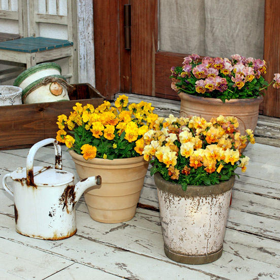 花・植物の水のあげ方