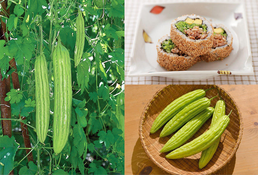 本気野菜ゴーヤ デリシャスゴーヤ・細長