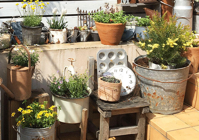 ジャンクガーデン