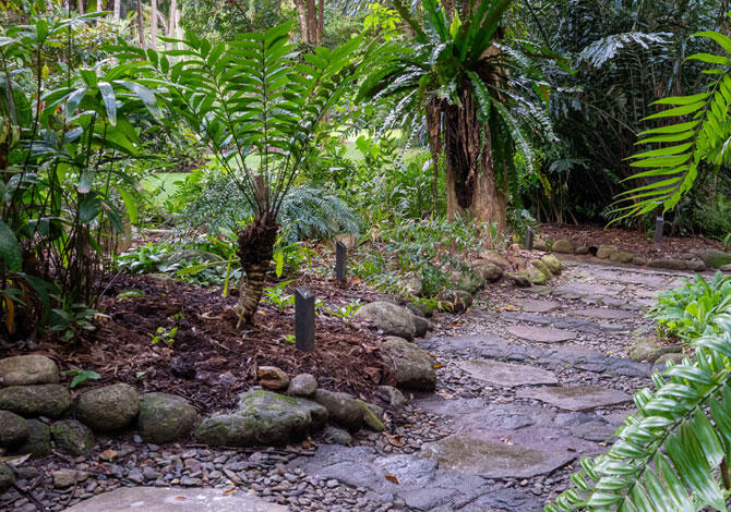 シェードガーデン