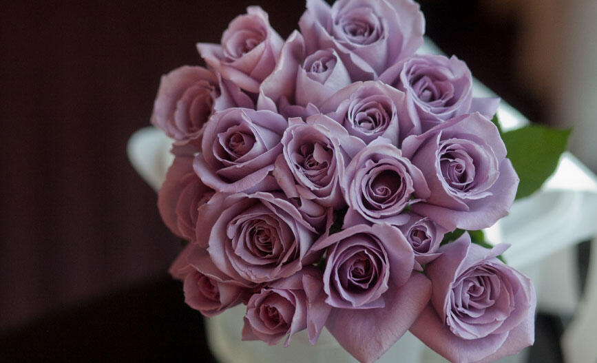 「青いバラ」アプローズ