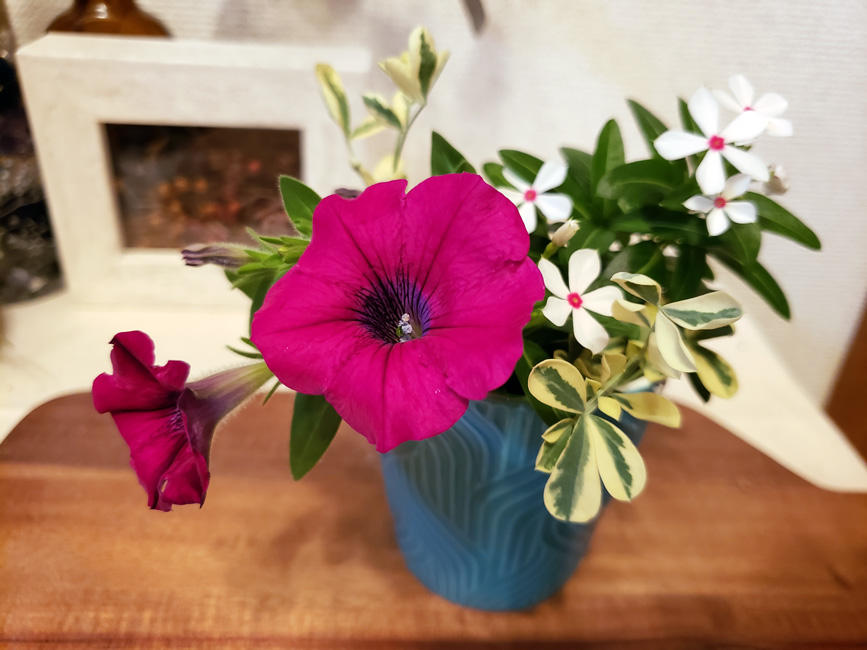 摘んだお花を、部屋に飾って♪