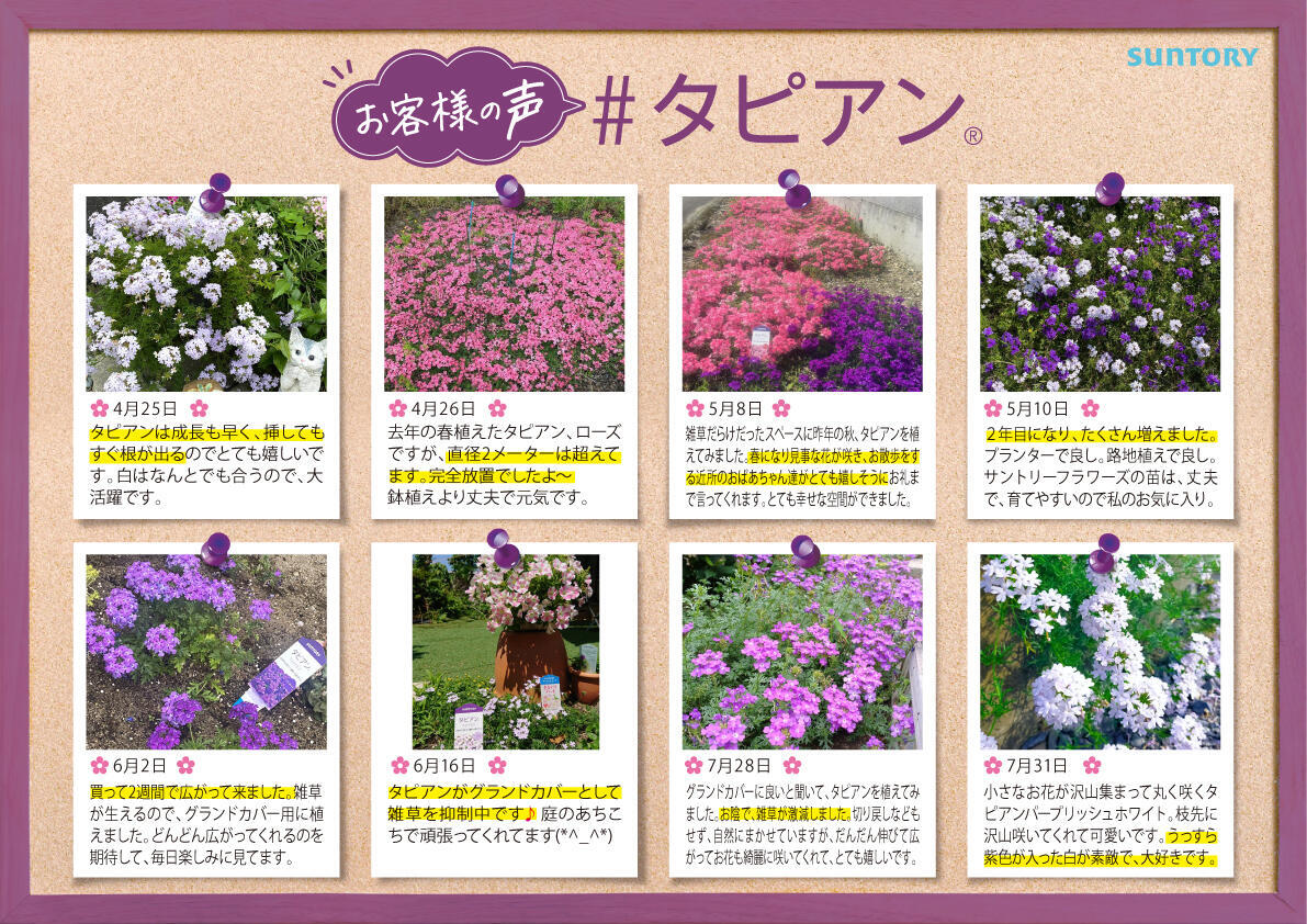 タピアン｜お役様の声
