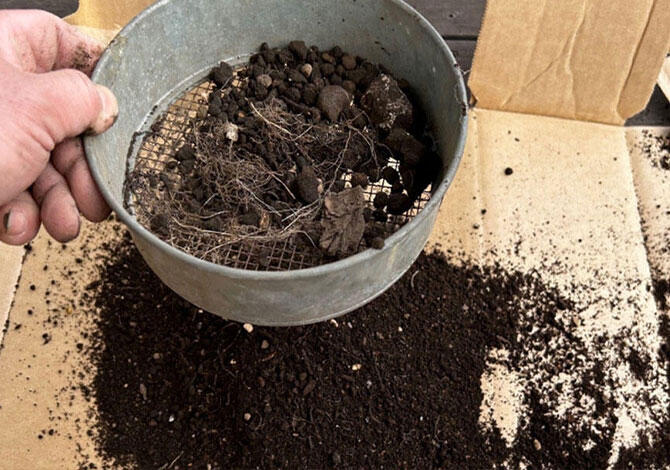 古い土をふるいにかける