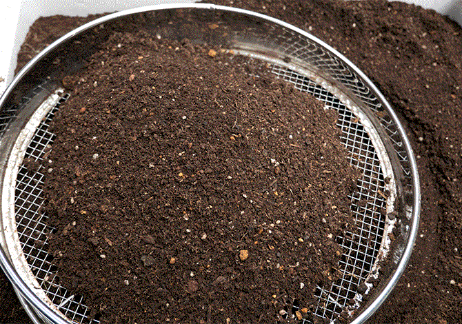 古い土をふるいにかける