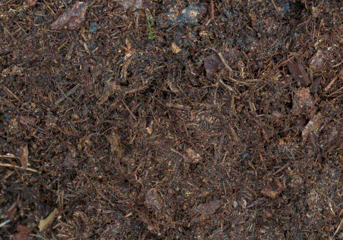  腐葉土（ふようど）