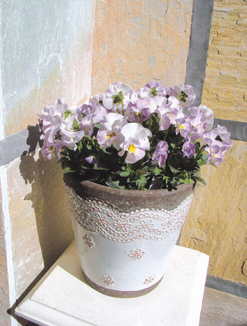 黒土（くろつち）普通鉢