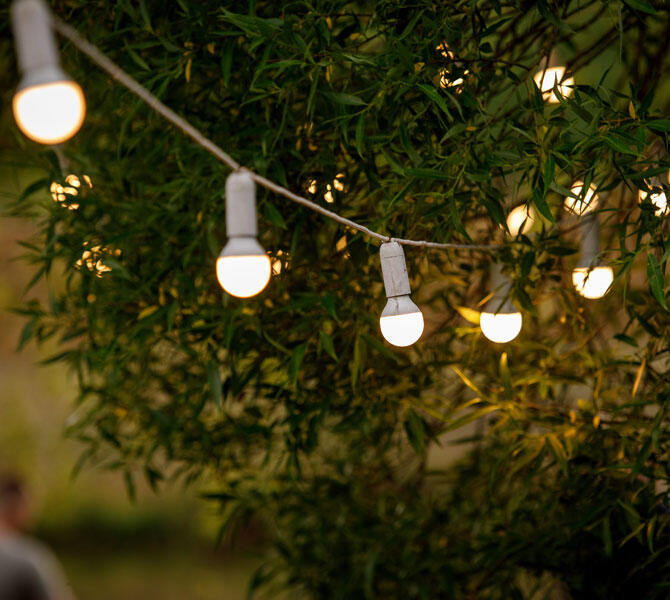 フェアリーライト