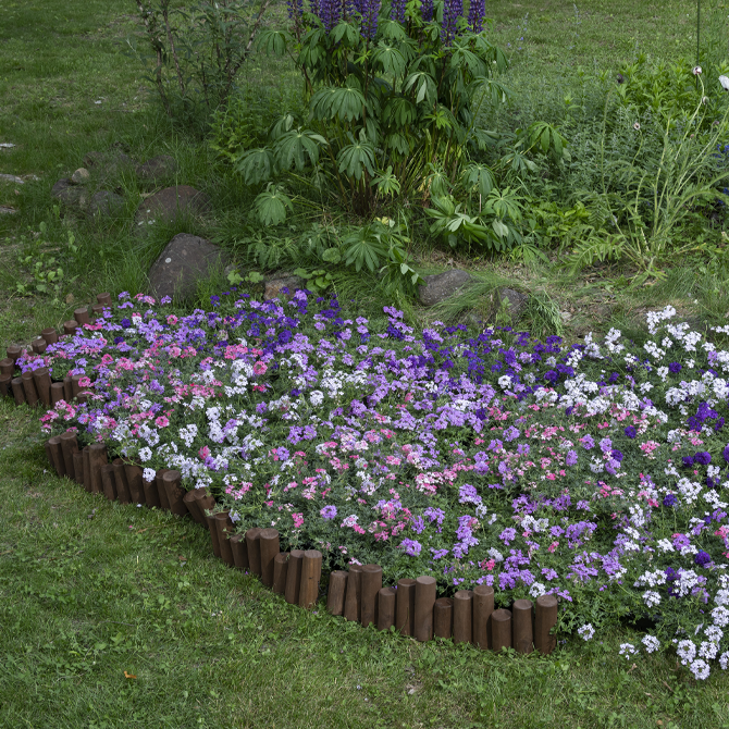 地植えガーデニング1