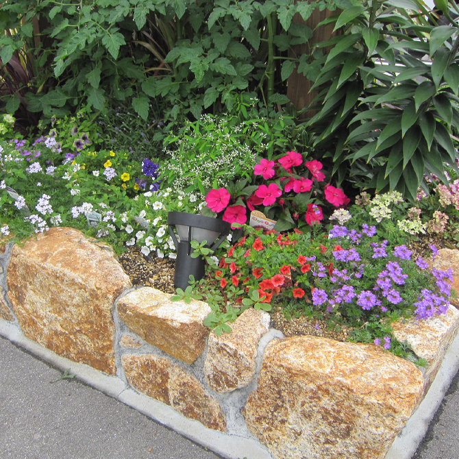 地植えガーデニング5