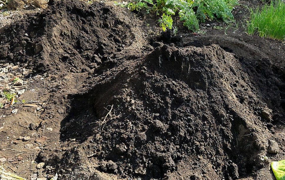 天地返しの様子