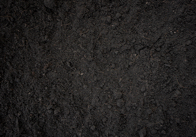 黒土（くろつち）