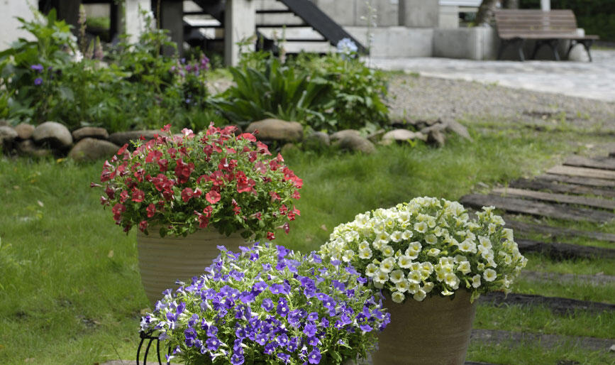 おしゃれなガーデンアイデア