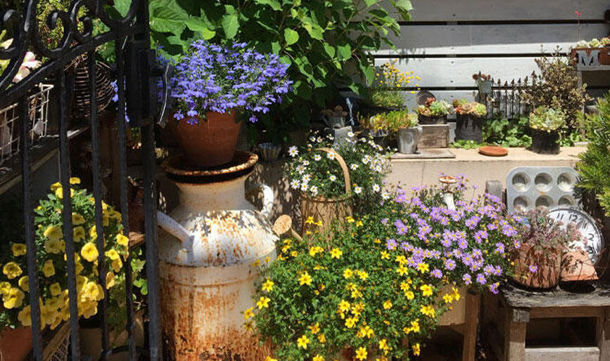 玄関のおしゃれなガーデンレイアウト