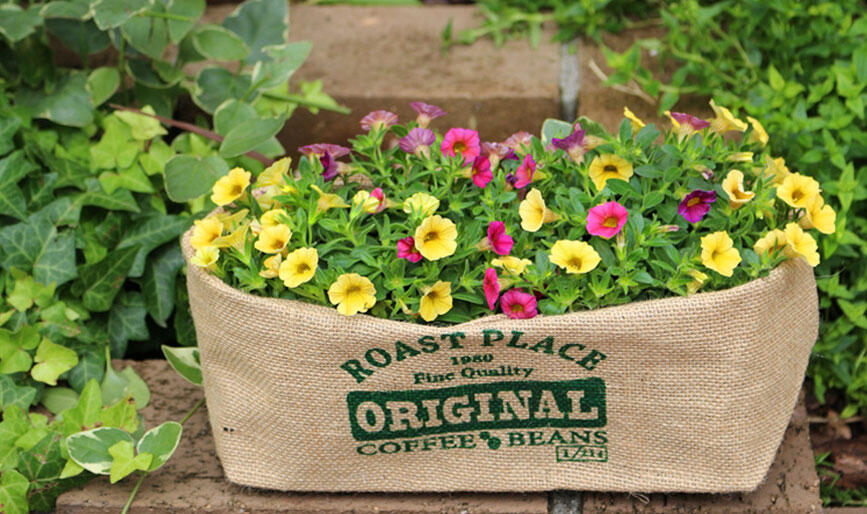 ミリオンベルのプランター