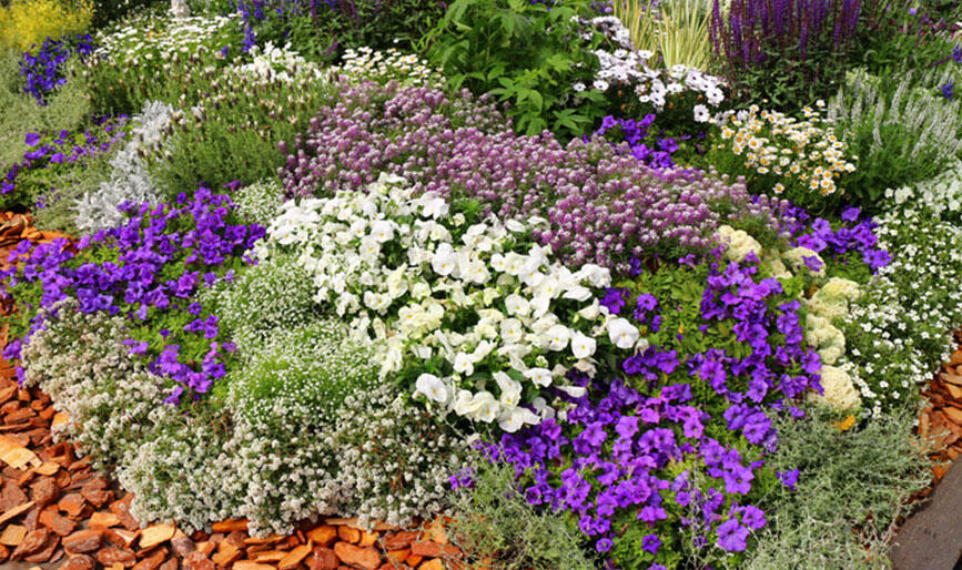 おしゃれなガーデンレイアウト地植え