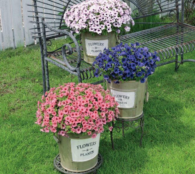 アンティーク調のブリキプランター