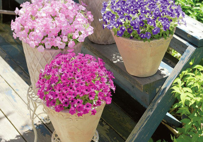 デザイン性のあるプランター