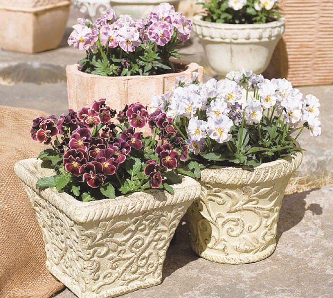 アンティーク調のデザインプランター