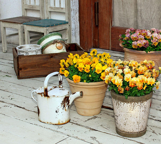 アンティークジョウロ