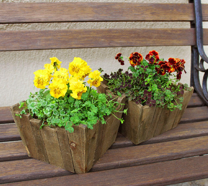 木製のプランター