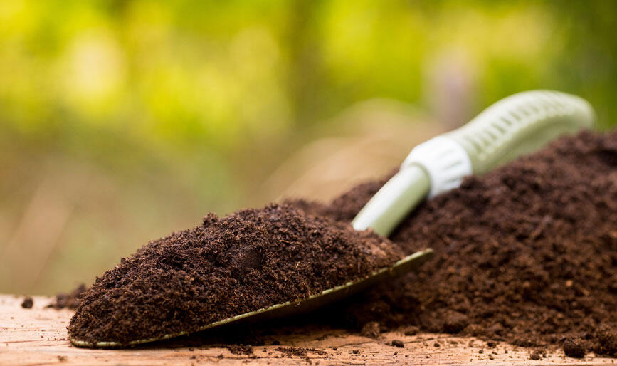 梅雨時のお手入れ | 花・ガーデニングの梅雨越しや長雨の対策など
