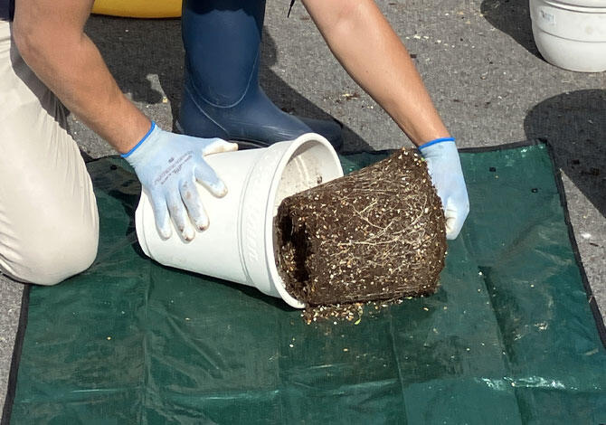 プランタースタンドを活用